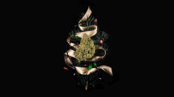 Get the Whole Family High With Herb’s Holiday Gift Guide