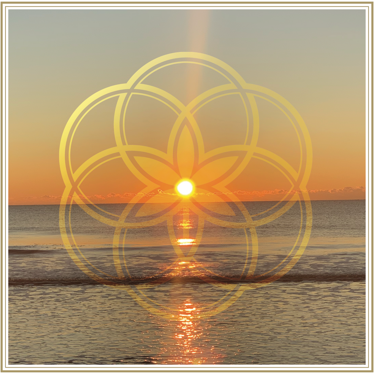 Sunrise over the ocean with My Bud Vase Flower of Life Logo