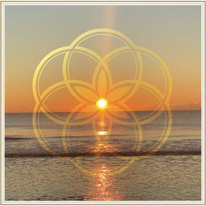 Sunrise over the ocean with My Bud Vase Flower of Life Logo