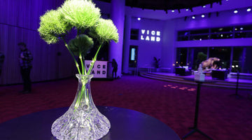 My Bud Vase™ Makes Debut at A + E Upfronts with Viceland