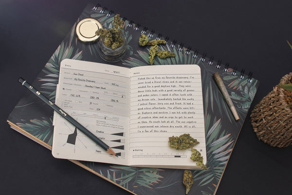 Back-to-School: Legal Cannabis Edition