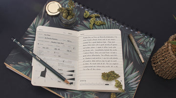 Back-to-School: Legal Cannabis Edition