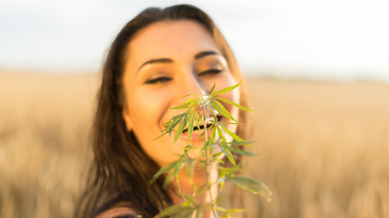 My Bud Vase: Elevating the Act of Consumption