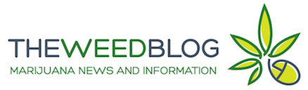The Weed Blog Talks About our "Flower Power!"