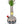 Coyōté Vase Bong - My Bud Vase