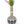 Coyōté Vase Bong - My Bud Vase