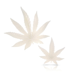 Cannabis Leaf Wall Art - My Bud Vase