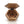 Woodland Turtle Set - My Bud Vase