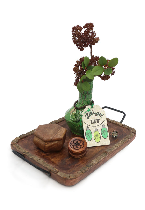 Woodland Turtle Set - My Bud Vase