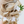 Flower of Life Barrette - My Bud Vase